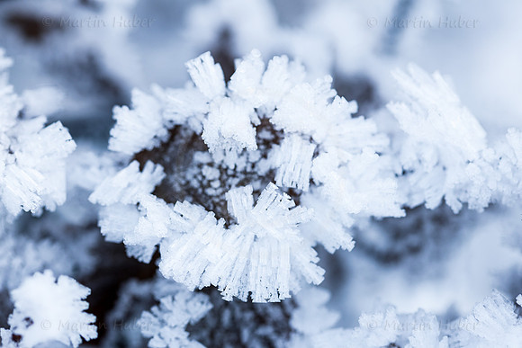 THEMENBILD, Wetter, Frost, Eis