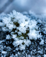 THEMENBILD, Wetter, Frost, Eis
