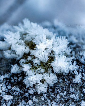 THEMENBILD, Wetter, Frost, Eis