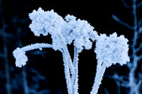 THEMENBILD, Wetter, Frost, Eis