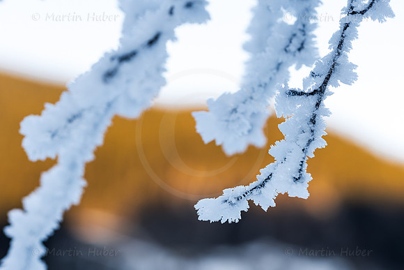 THEMENBILD, Wetter, Frost, Eis
