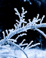 THEMENBILD, Wetter, Frost, Eis