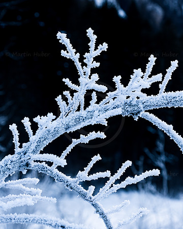 THEMENBILD, Wetter, Frost, Eis
