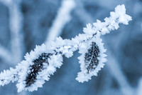 THEMENBILD, Wetter, Frost, Eis