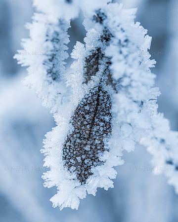 THEMENBILD, Wetter, Frost, Eis