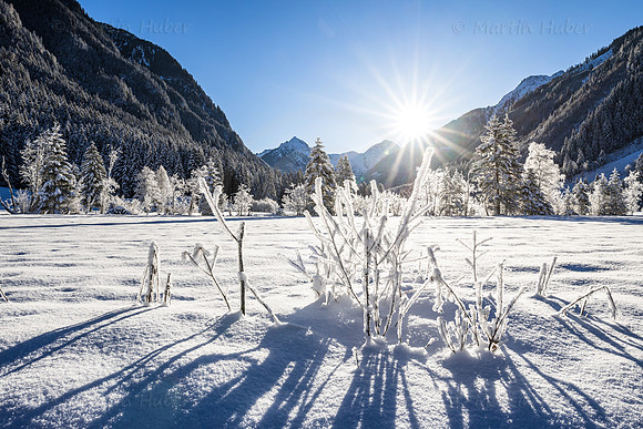 THEMENBILD, Winter, Kälte, Frost