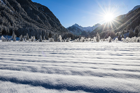 THEMENBILD, Winter, Kälte, Frost