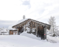THEMENBILD, Winter-Tourismus, Ski alpin, Skifahren