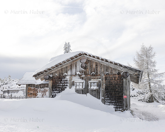THEMENBILD, Winter-Tourismus, Ski alpin, Skifahren