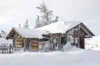 THEMENBILD, Winter-Tourismus, Ski alpin, Skifahren