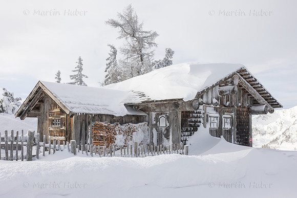 THEMENBILD, Winter-Tourismus, Ski alpin, Skifahren