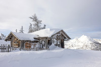 THEMENBILD, Winter-Tourismus, Ski alpin, Skifahren