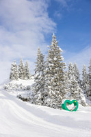 THEMENBILD, Winter-Tourismus, Ski alpin, Skifahren