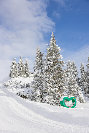 THEMENBILD, Winter-Tourismus, Ski alpin, Skifahren