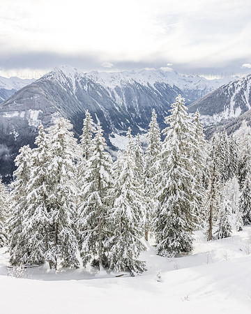 THEMENBILD, Winter in der Steiermark, Hochwurzen