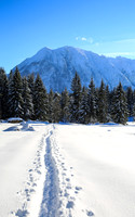 Schneespuren und Grimming