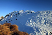 Krahbergzinken