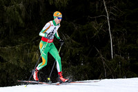 AUT, FIS Skilanglauf Austria Cup, Bad Mitterndorf