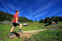 NaturHighlights 2011 - Juli
