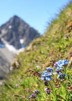 Österreich, Seefeld