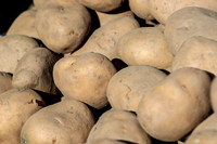 Ennstaler Erdäpfel, Kartoffelanbau