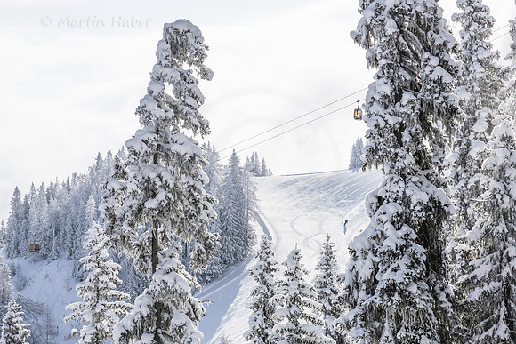 THEMENBILD, Winter-Tourismus, Ski alpin, Skifahren