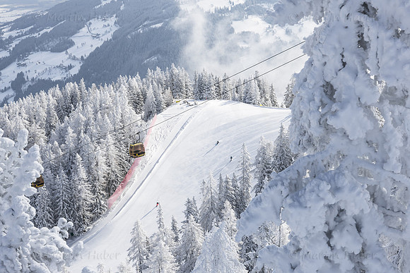 THEMENBILD, Winter-Tourismus, Ski alpin, Skifahren