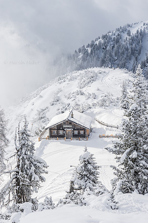 THEMENBILD, Winter-Tourismus, Ski alpin, Skifahren