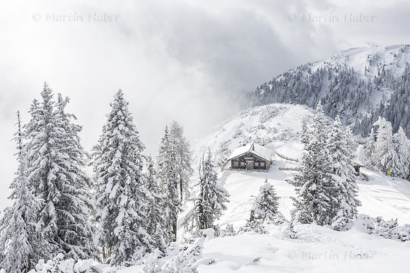 THEMENBILD, Winter-Tourismus, Ski alpin, Skifahren