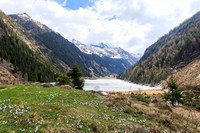 THEMENBILD, Frühling in Österreichs Bergen