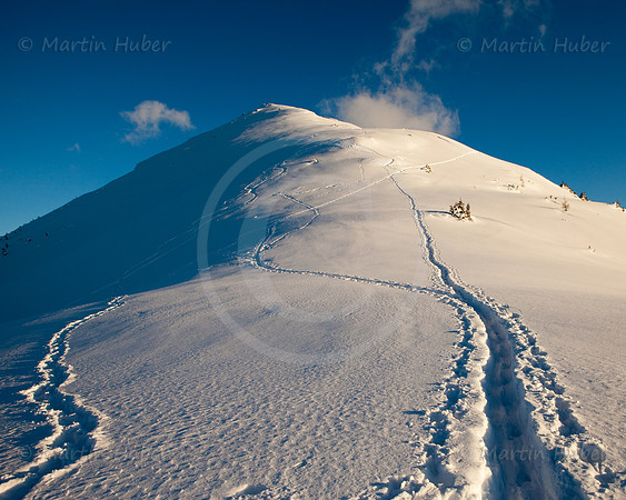 Tourenskispuren auf dem Krahbergzinken