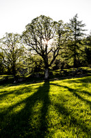 THEMENBILD, Frühling in den Bergen, Ramsau