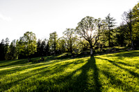 THEMENBILD, Frühling in den Bergen, Ramsau