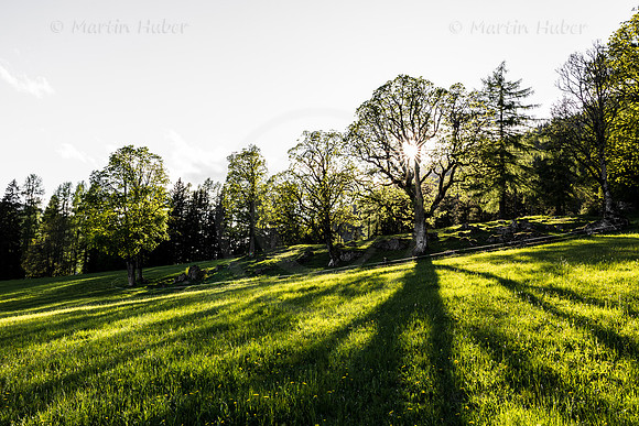 THEMENBILD, Frühling in den Bergen, Ramsau