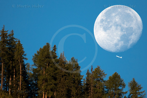 Mond, Flugzeug und Hochwurzen-Bäume