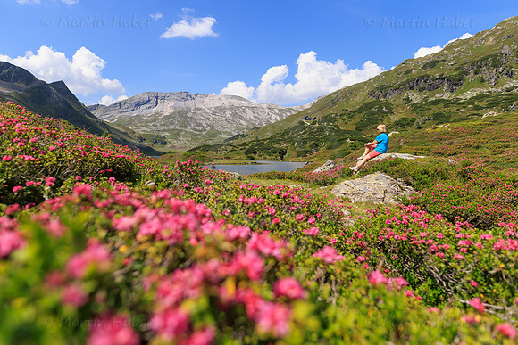 Almrauschblüte, Giglachseen