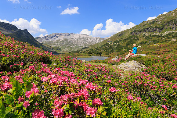Almrauschblüte, Giglachseen