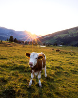 NaturHighlights 2026 - Juli