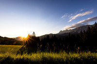 NaturHighlights 2026 - August