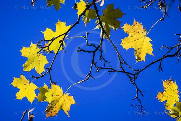 THEMENBILD, Herbst, Wetter
