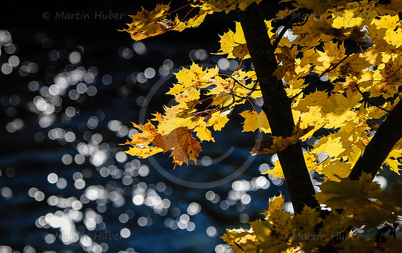 THEMENBILD, Herbst, Wetter