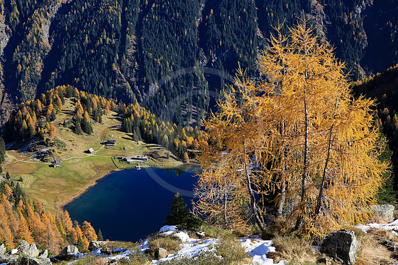 Goldener Oktober am Duisitzkarsee
