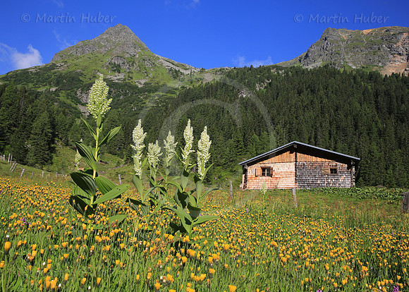 Die Neualm im Obertal