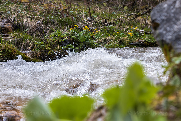 THEMENBILD, Frühling in den Bergen