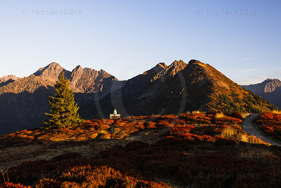 Planai, Herbst, Wanderin auf Aussichtsbank