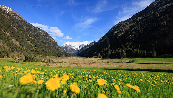 THEMENBILD, Frühling in den Bergen