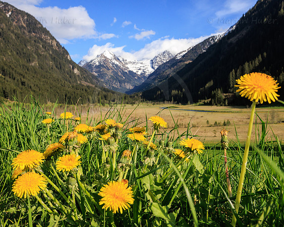 THEMENBILD, Frühling in den Bergen