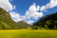 THEMENBILD, Frühling in den Bergen, Alm