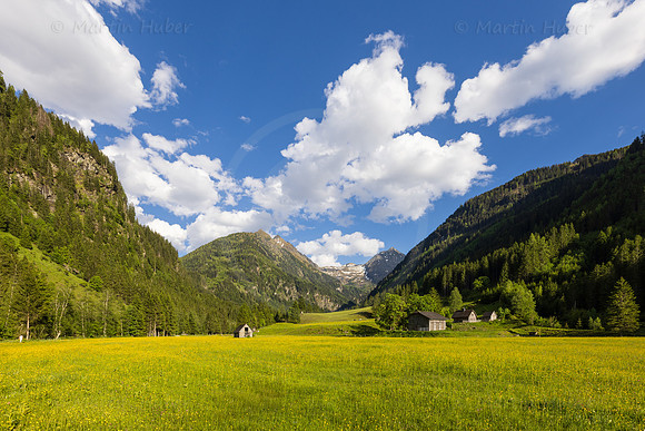 THEMENBILD, Frühling in den Bergen, Alm