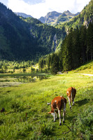 Steirischer Bodensee